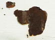 Rust and cracked paint.