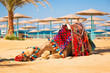 Camel resting in shadow on the beach of Hurghada, Egypt