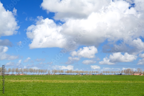 Photo: beautiful Dutch farmland beautiful Dutch farmland
