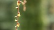 Spring, new life