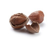 Hazelnut