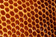 yellow beautiful honeycomb with honey, background