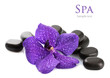 Spa stones and purple flower, isolated on white