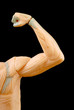 back arm muscle