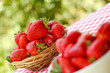 Foto: Fresh strawberry Fresh strawberry