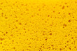 Photo: Yellow sponge texture Yellow sponge texture