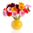 Foto: Bouquet Gerber flowers in glass vase Bouquet Gerber flowers in glass vase