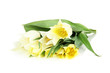 Beautiful white tulips isolated on white