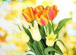 Beautiful white and orange tulips on bright background