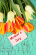 Beautiful white and orange tulips on color wooden background
