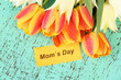 Beautiful white and orange tulips on color wooden background