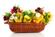 Beautiful spring flowers in basket isolated on white