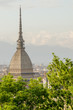 Turin (Torino), panoramic view with Mole Antonelliana