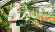 Foto: Man checking a plant Man checking a plant