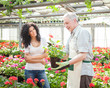 Greenhouse worker talking to a customer