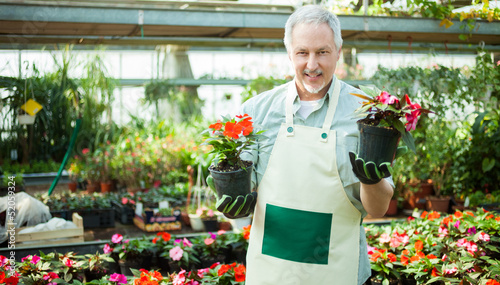 Photo: Greenhouse worker holding flower pots Greenhouse worker holding flower pots
