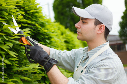 Photo: Gardener pruning an hedge Gardener pruning an hedge
