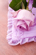 Photo: purple rose for wedding, love and valentines day purple rose for wedding, love and valentines day