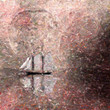 Sail