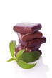 stevia rebaudiana as sweetener for chocolate cookies