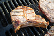One Grilled Pork Chop