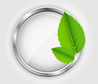 Vector: Abstract nature background with leaves. Vector iilustration Abstract nature background with leaves. Vector iilustration