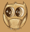 Vector: Cute Doodle Sketch Owl Vector Art Cute Doodle Sketch Owl Vector Art