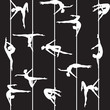pole dancer