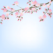 tree branch