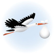 stork