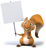 Fun squirrel