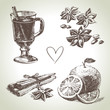 Set of mulled wine, fruit and spices, hand drawn illustrations