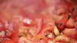 Stewing Tomatoes
