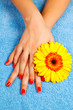 manicure on hands