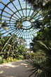 Belgique Serres royales de Laeken