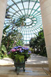 Belgique Serres royales de Laeken
