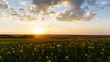 Sunset Timelapse 4K