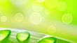 water drops on grass on wind loop