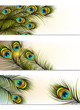 Business cards vector set with peacock ferns