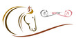 Vector head of horse on a white background