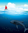 Vector: Yacht and big whale shark. Yacht and big whale shark.
