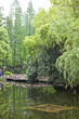 See in Shanghai