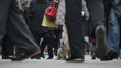 Video: Australian shepherd sitting in a crowded street Australian shepherd sitting in a crowded street