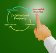 Intellectual property diagram