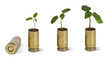 Saplings growing from shell