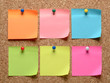 cork board with blank notes