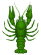Crayfish (green)