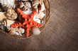 Background with shells and starfish and with blank space for you