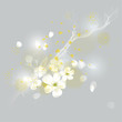 Vektor: White blossoms / Romantic spring card White blossoms / Romantic spring card