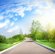 Photo: Paved road in a green park Paved road in a green park